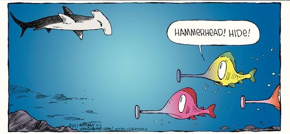 speed bump dave coverly fish