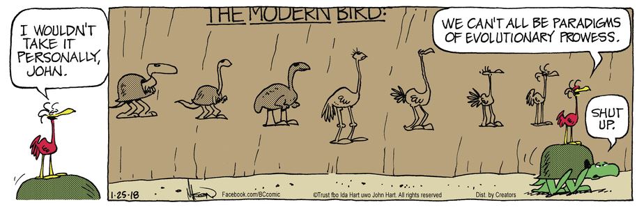 Involution Comic Evolution | Comics I Don't Understand