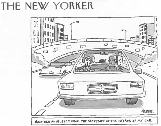 NYer Steve S