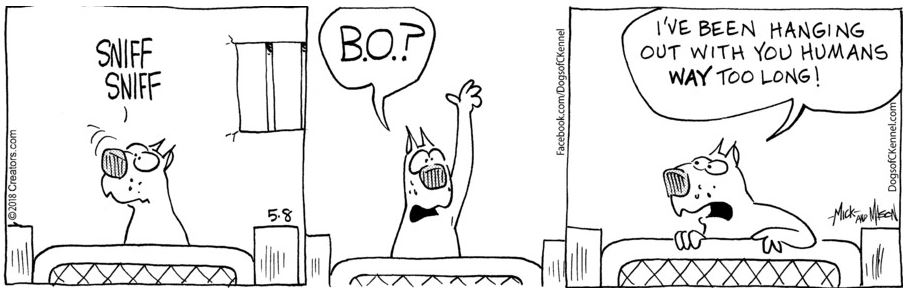 sync-dogs of c-kennel 5-8