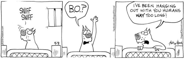 sync-dogs of c-kennel 5-8