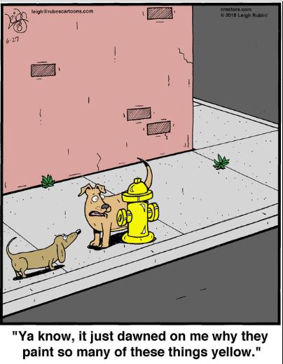 July 7 ewww rubes yellow