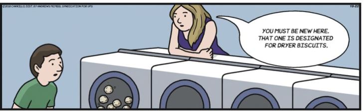 Oct22 dryer biscuits