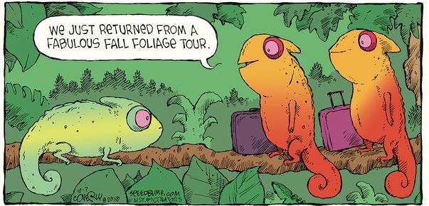 seed bump leaves andrea