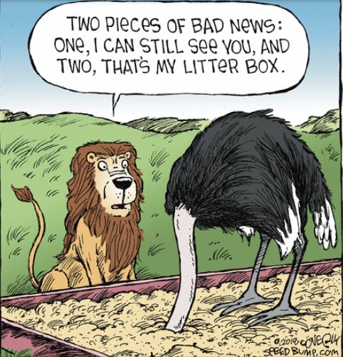 nov ewww speedbump andrea