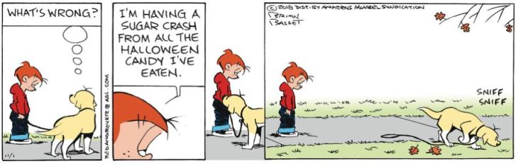 sugar crash.JPG
