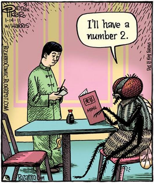 42304095_10210014560959563_1740256152031068160_n