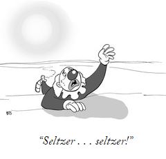 NYer seltzer