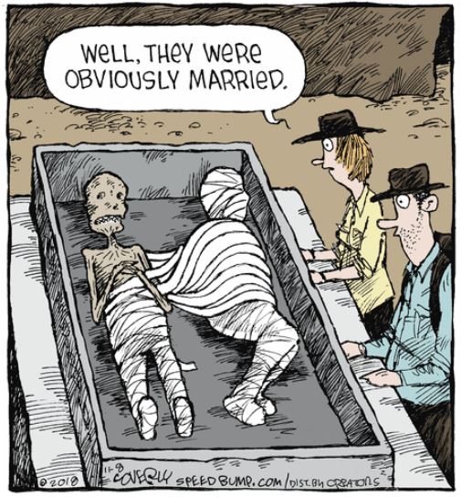 speed bump coverly mummies