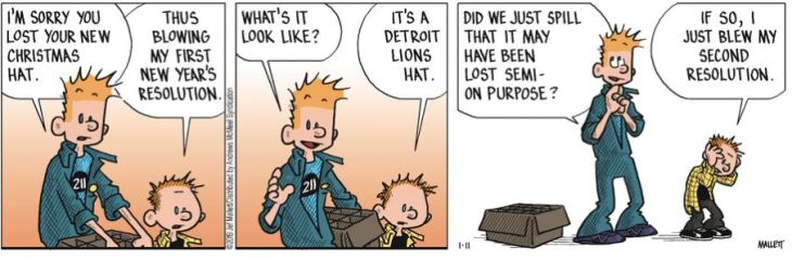 lions hat
