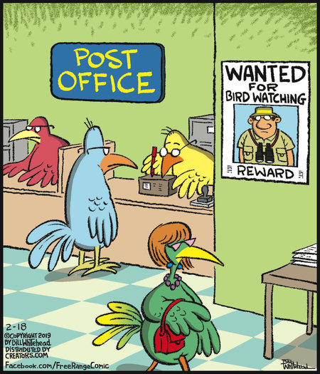 avian crime-chronicity