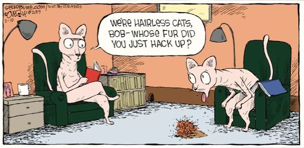 feb 16 ewww speed Bill R