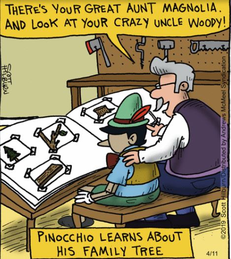 pinocchio rgyle