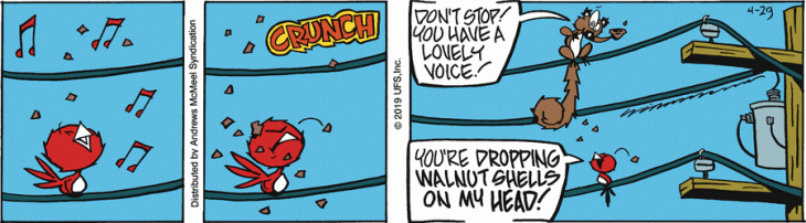 singchronicity birds