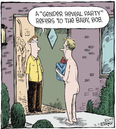 speed bump reveal andrea