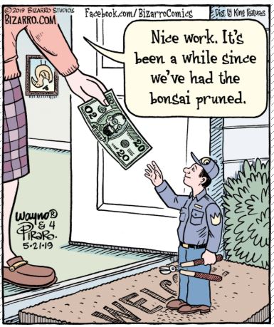 bizarro Andrea Bonsai