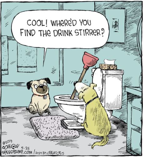 june 1 Ewww speedbump coverly everybody