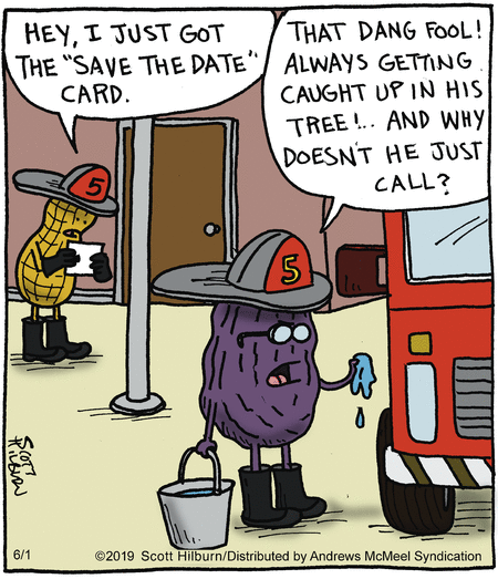 june 22 oy argyle date