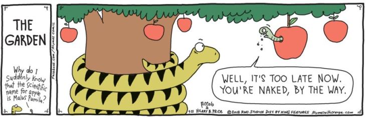 July01 did richard scary get art credit for this