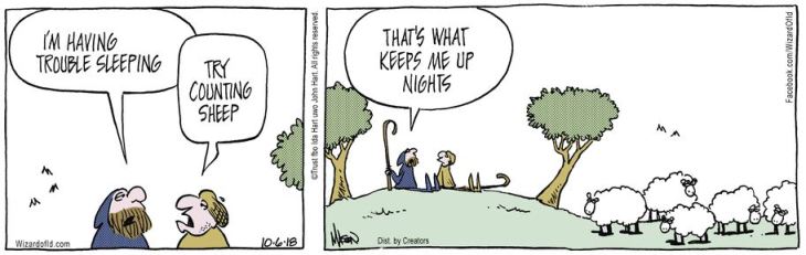 july08 wizard of sheep