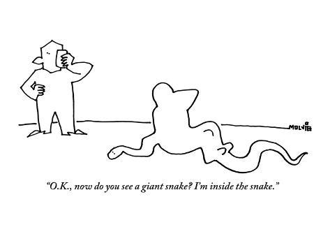 ariel-molvig-o-k-now-do-you-see-a-giant-snake-i-m-inside-the-snake-new-yorker-cartoon