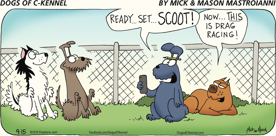 sept 21 ewww andrea Dogs of C-Kennel by Mick & Mason Mastroianni