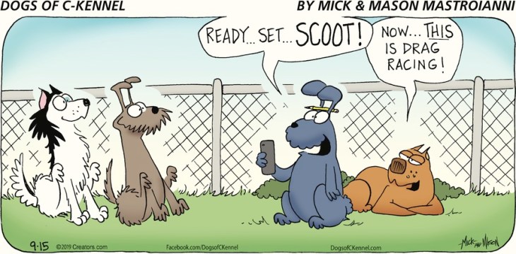 sept 21 ewww andrea Dogs of C-Kennel by Mick &amp; Mason Mastroianni