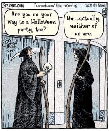 22885813_10214516389847747_7895228597713014738_n