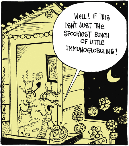 Halloween Oy strange Brew Andrea