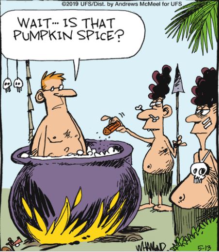 pumpkin spice reality andrea