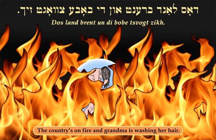 76619003_10214476496402351_1610214523812184064_n