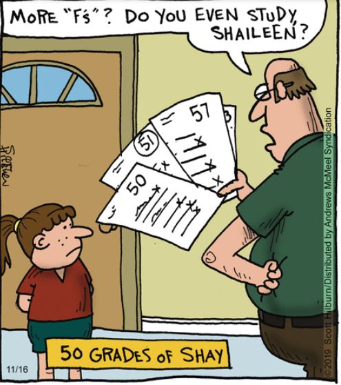 50 Shades of CIDU.JPG