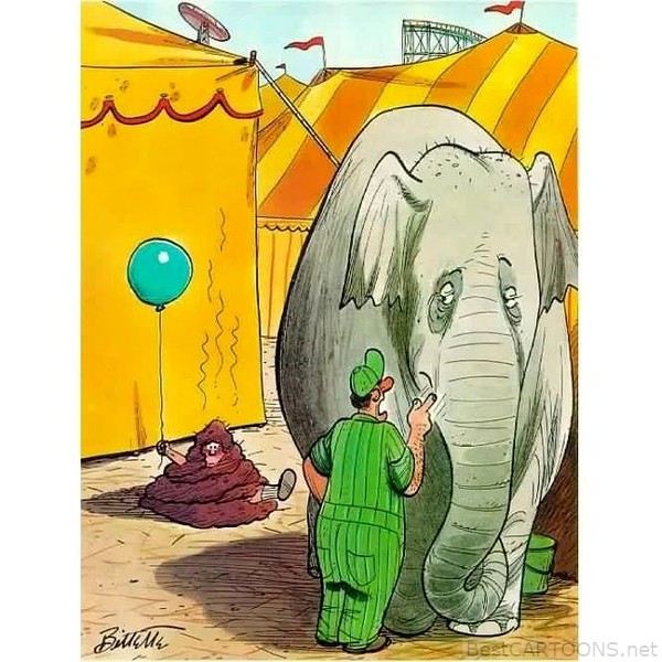 feb 15 elephant ewww