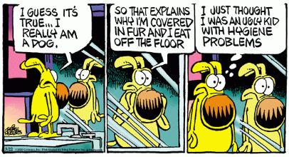 in an internet strip, nobody