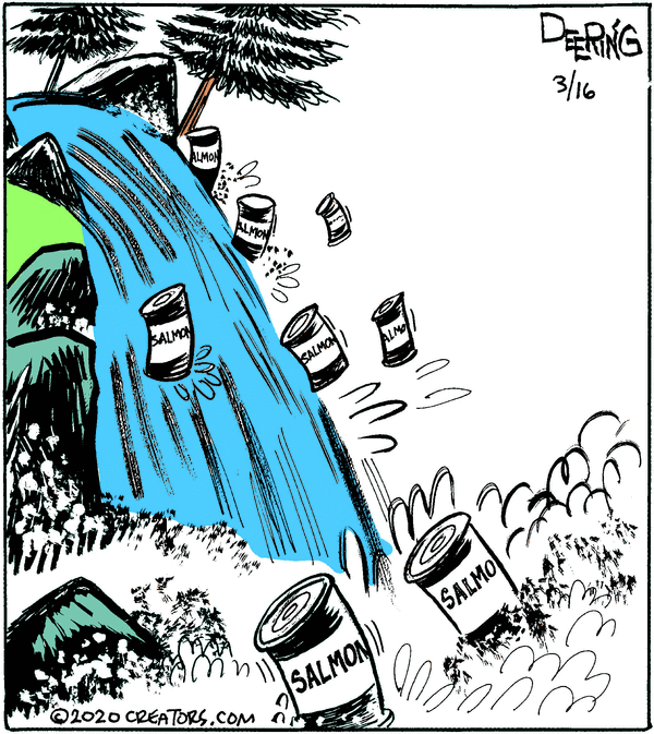 march24a strange salmon