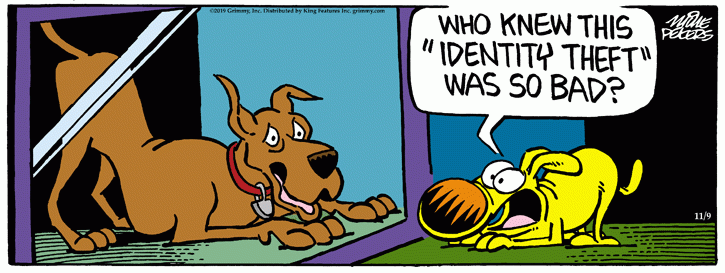 march25 mgg identity theft