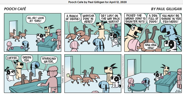 pooch cafe