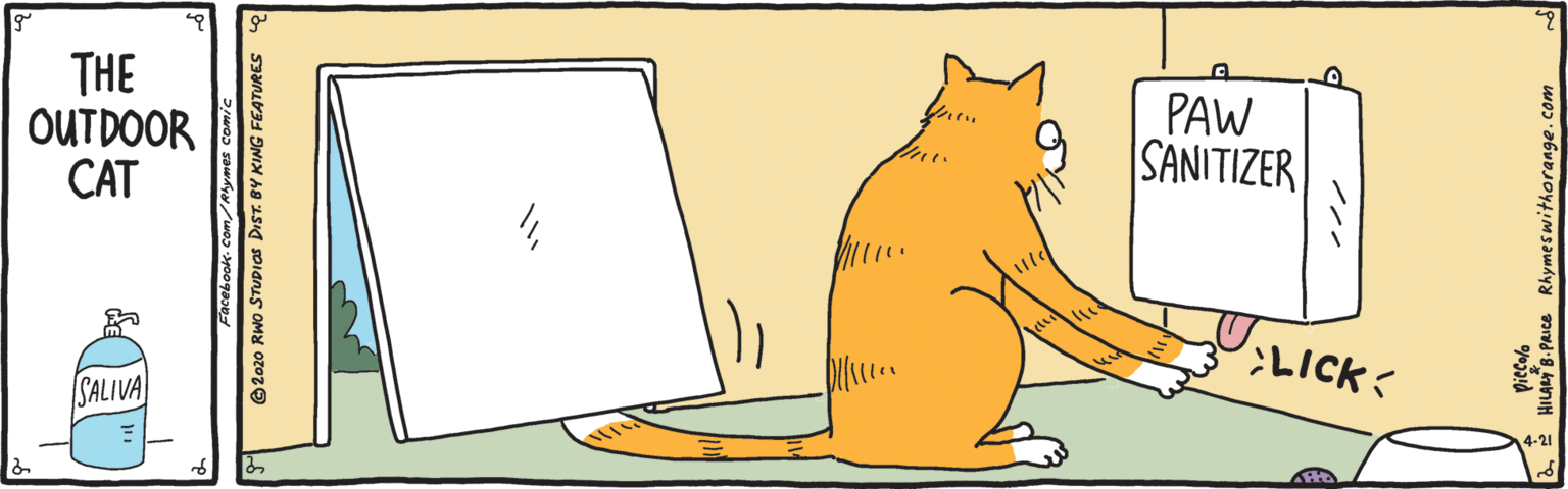 rhymescat Corona Cat