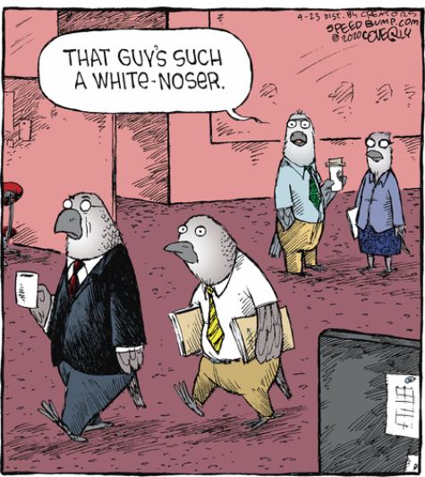 May 16 ewww speed bump dave coverly bob