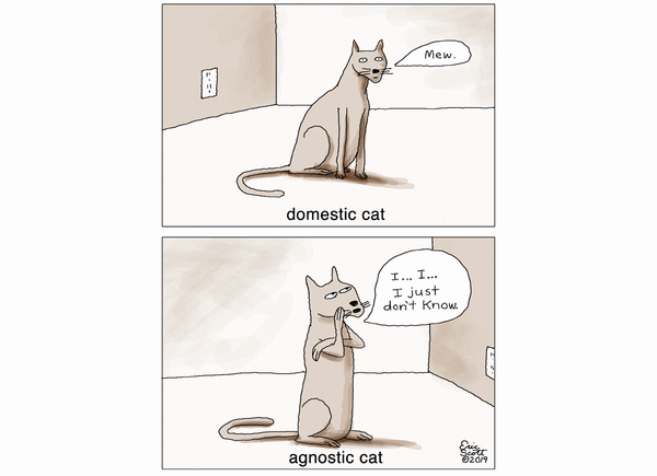 May06 cat 1 and done eric scott