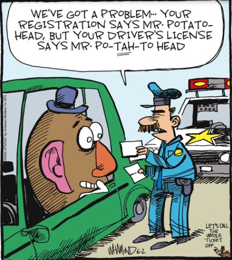 reality potato Andrea