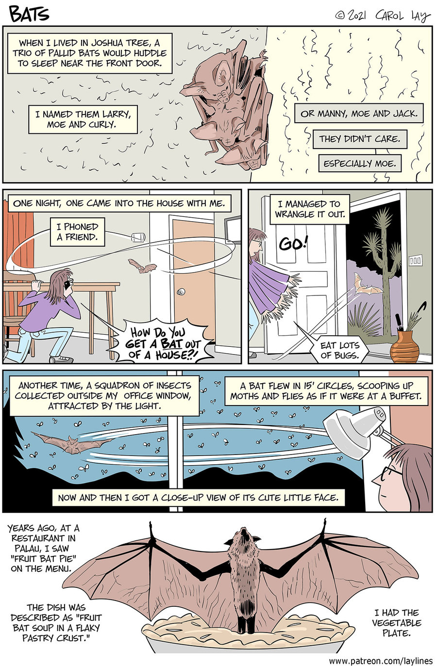 Going Batty | Comics I Don't Understand